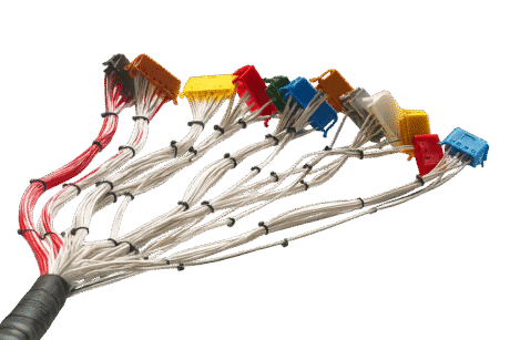 Structure and Components of a Wiring Harness