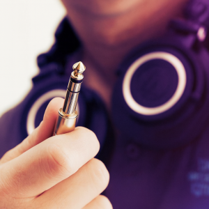 The 1/4 Inch Audio Cable